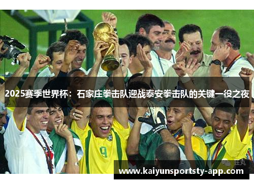 2025赛季世界杯：石家庄拳击队迎战泰安拳击队的关键一役之夜