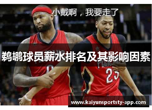 鹈鹕球员薪水排名及其影响因素
